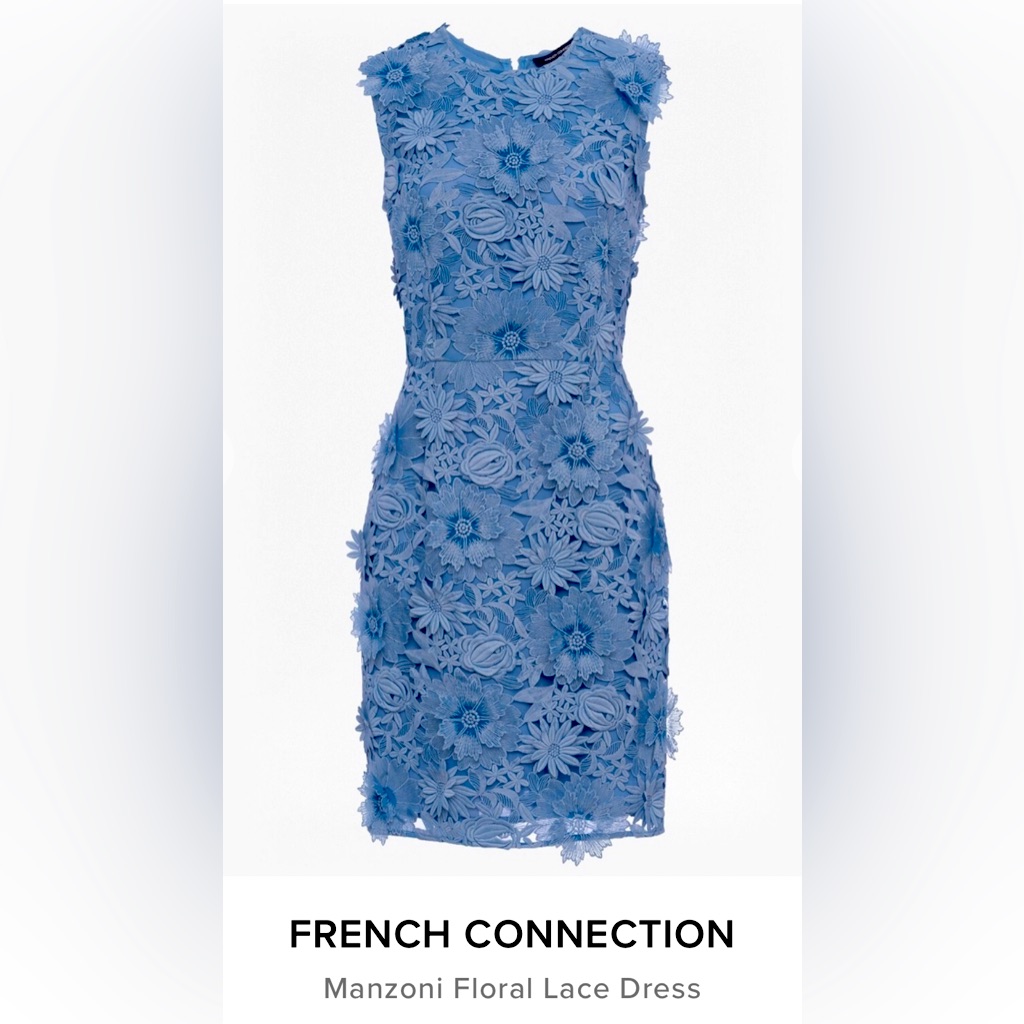 Brand New Beautiful French Connection Dress With Tag